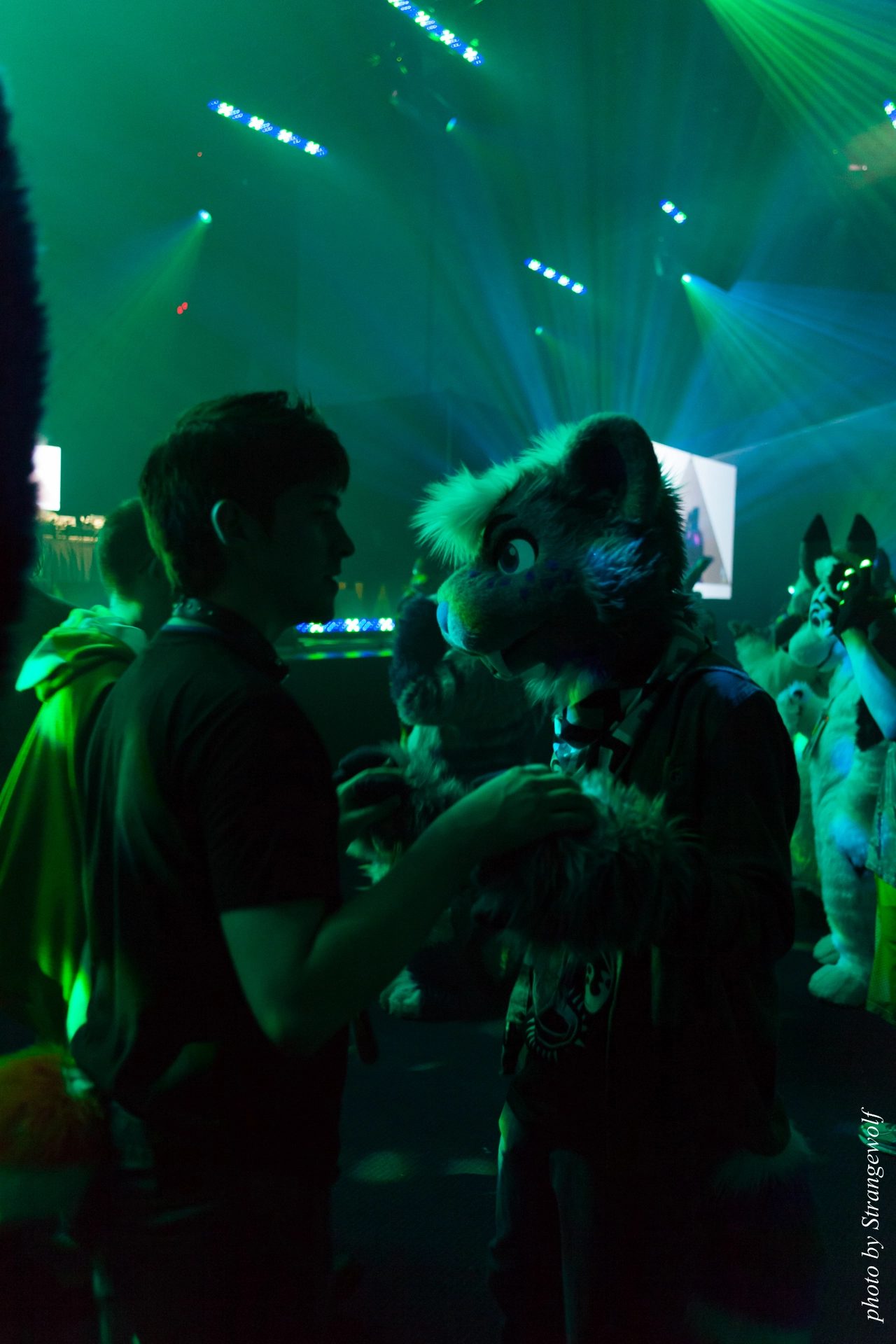 full image IMG_0065-lr19t.jpg