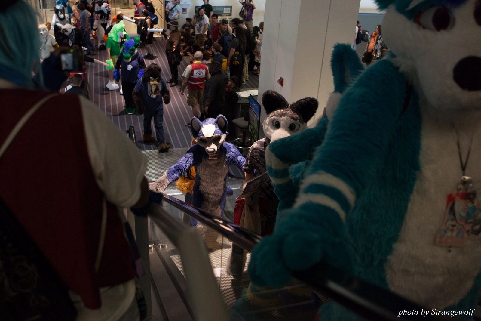 full image IMG_8086-lr16t.jpg
