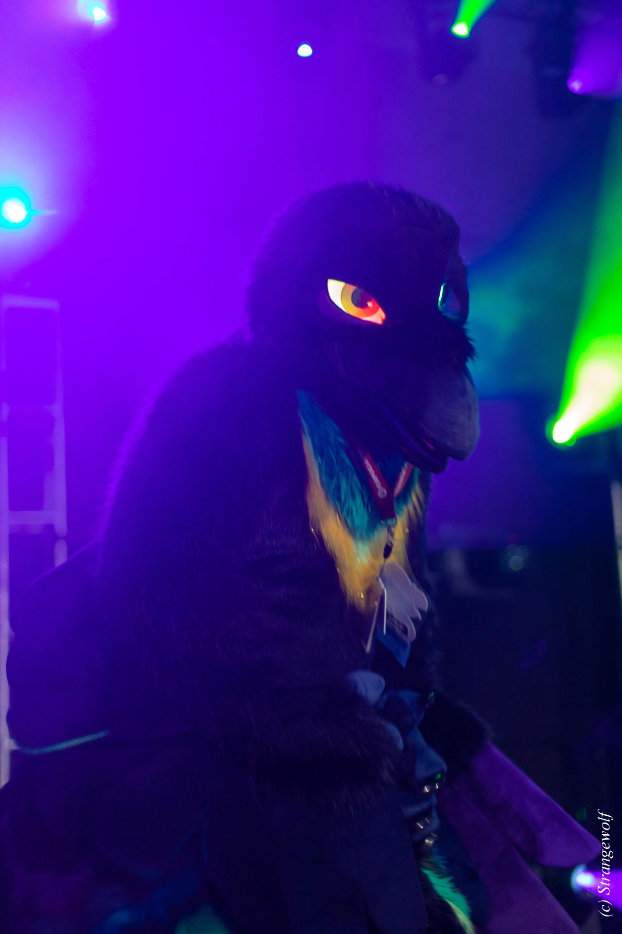 full image 1R3A0580-lr19t.jpg