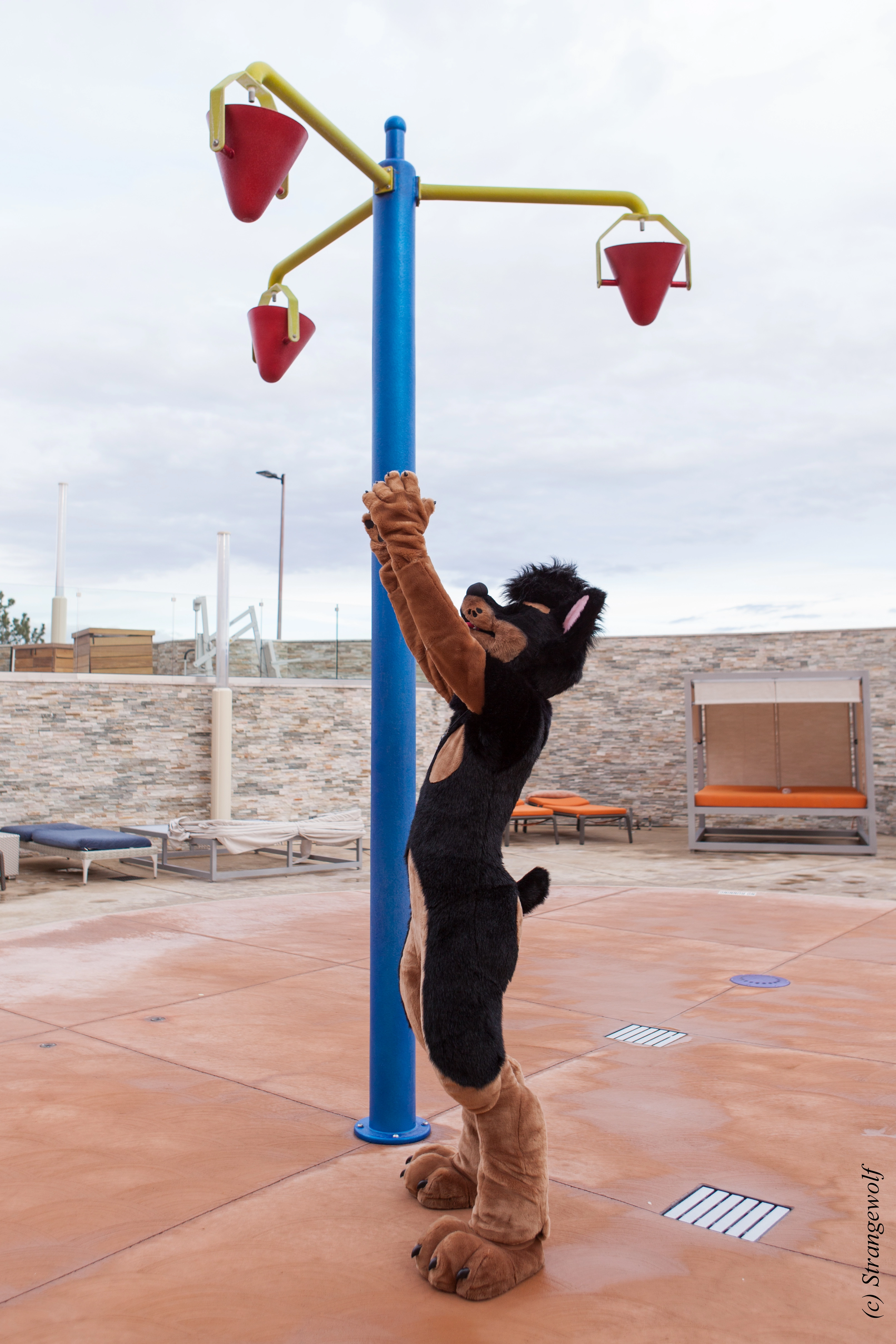 full image IMG_2889-lr.jpg