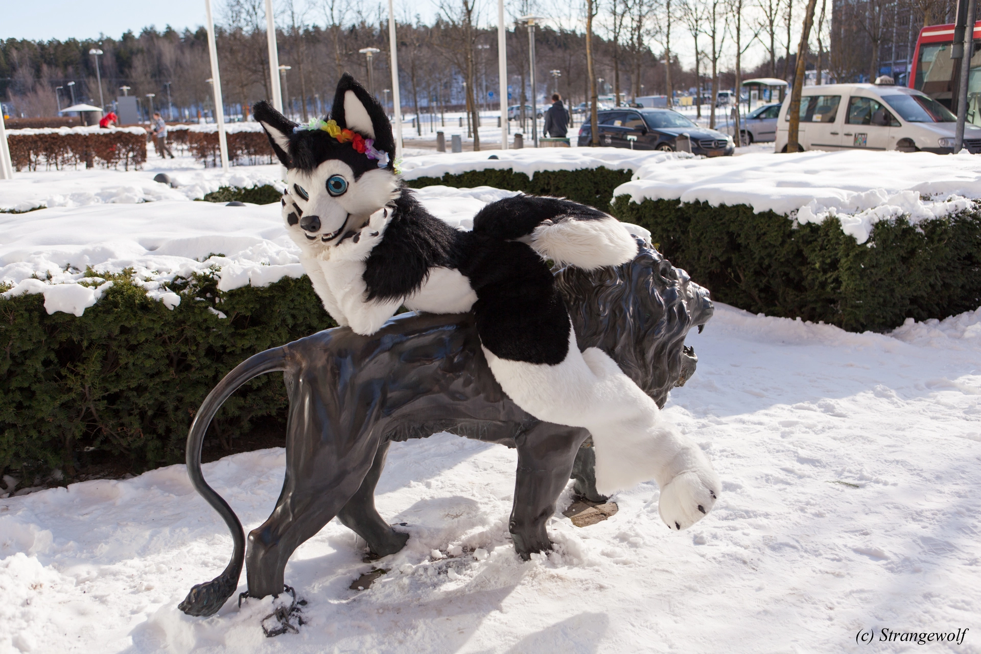 full image IMG_9795-lr19t.jpg