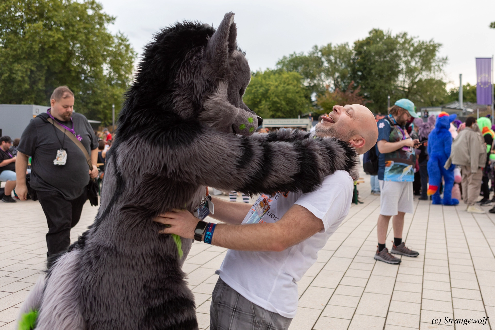 full image 1R3A9171-lr19t.jpg