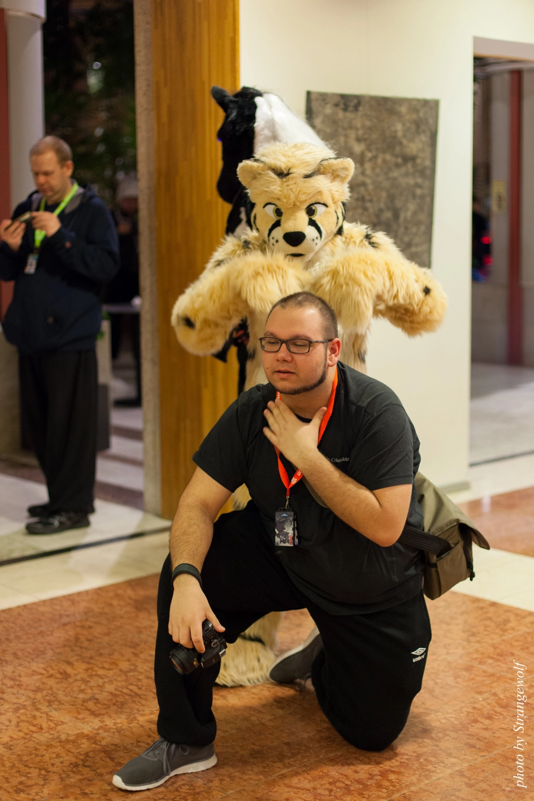 full image IMG_1613-lr16t.jpg