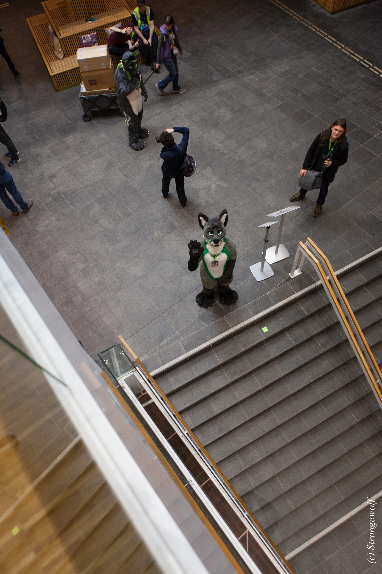 full image IMG_8278-lr19t.jpg