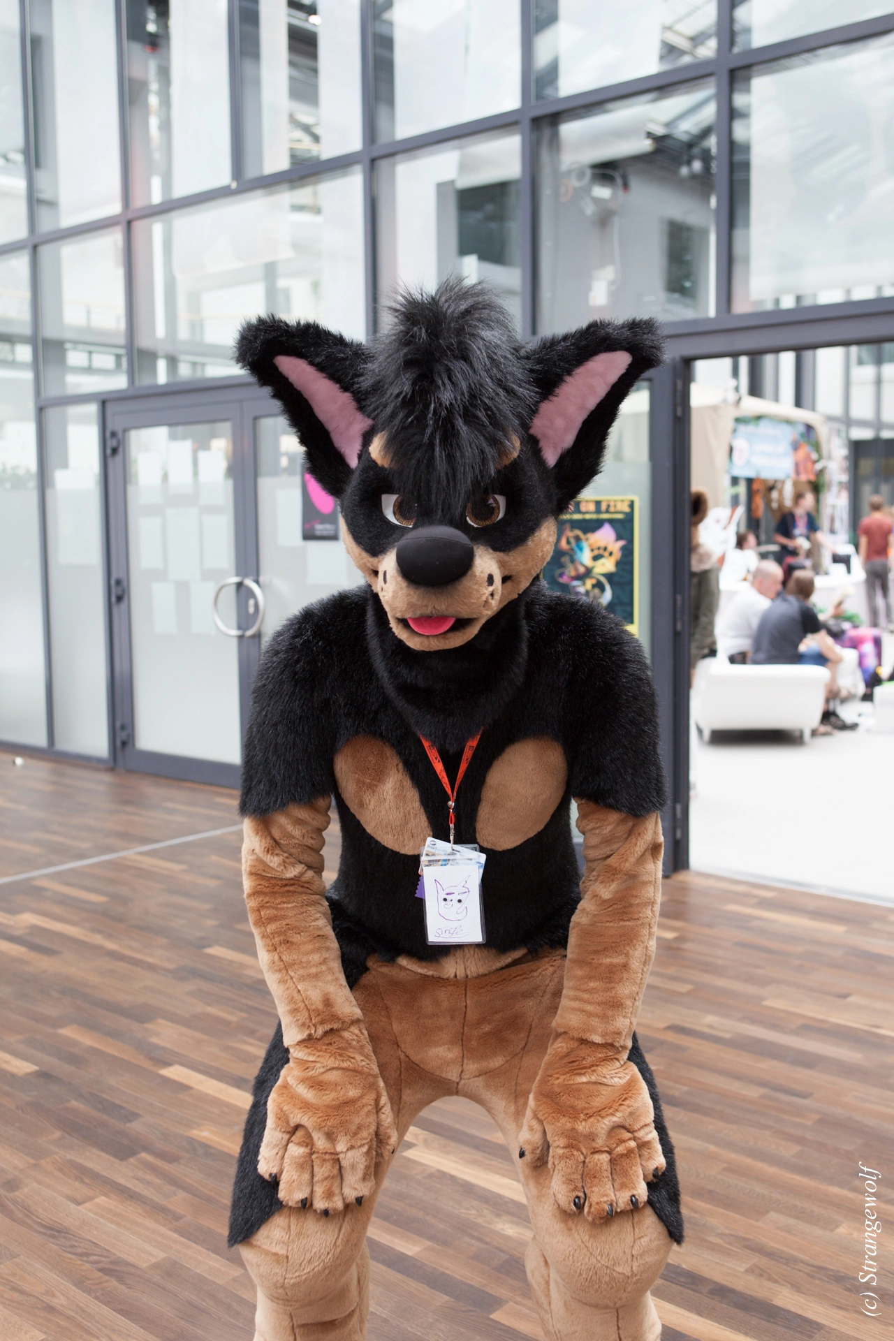 full image IMG_5321-lr19t.jpg