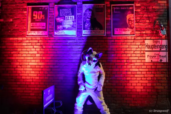 1R3A2666-lr19t.jpg of Furstrike/Furstrike 2022/