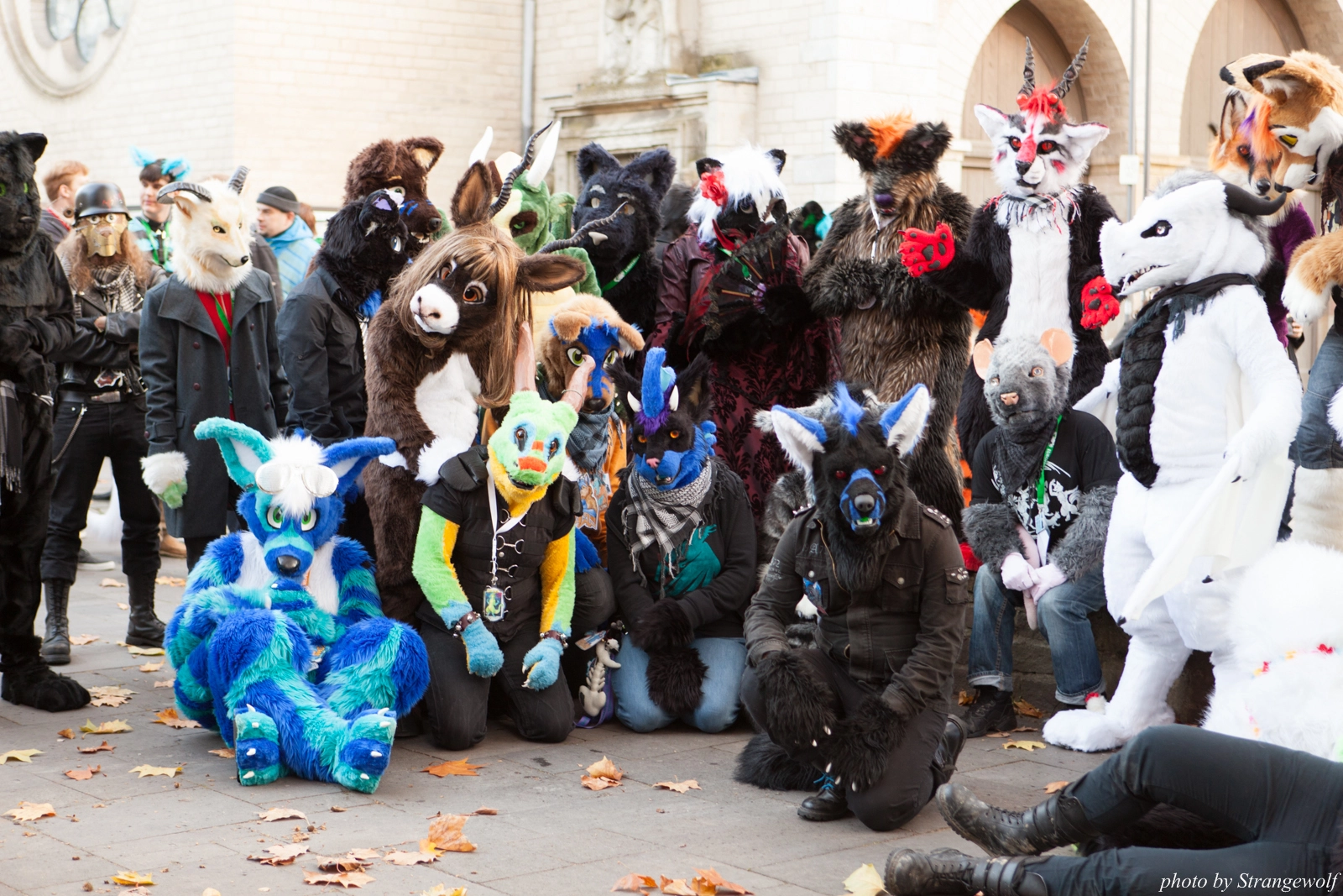 full image IMG_5301-lr16t.jpg