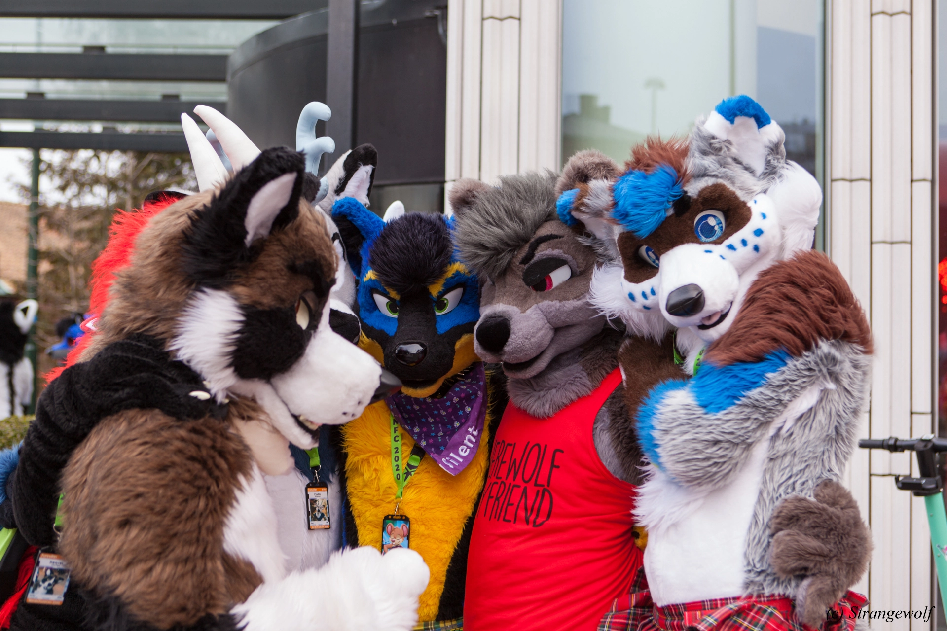 full image IMG_9011-lr19t.jpg