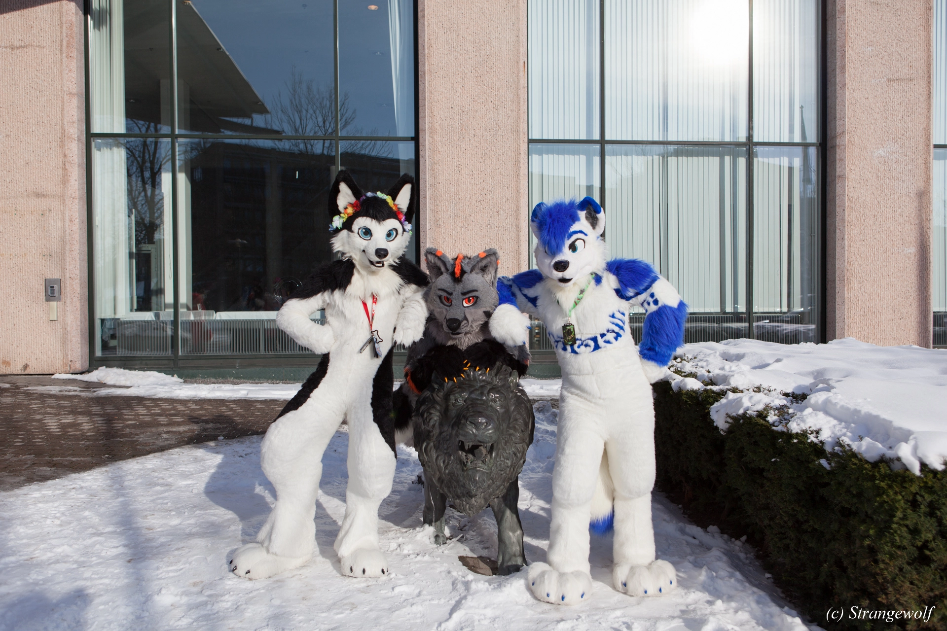 full image IMG_9678-lr19t.jpg