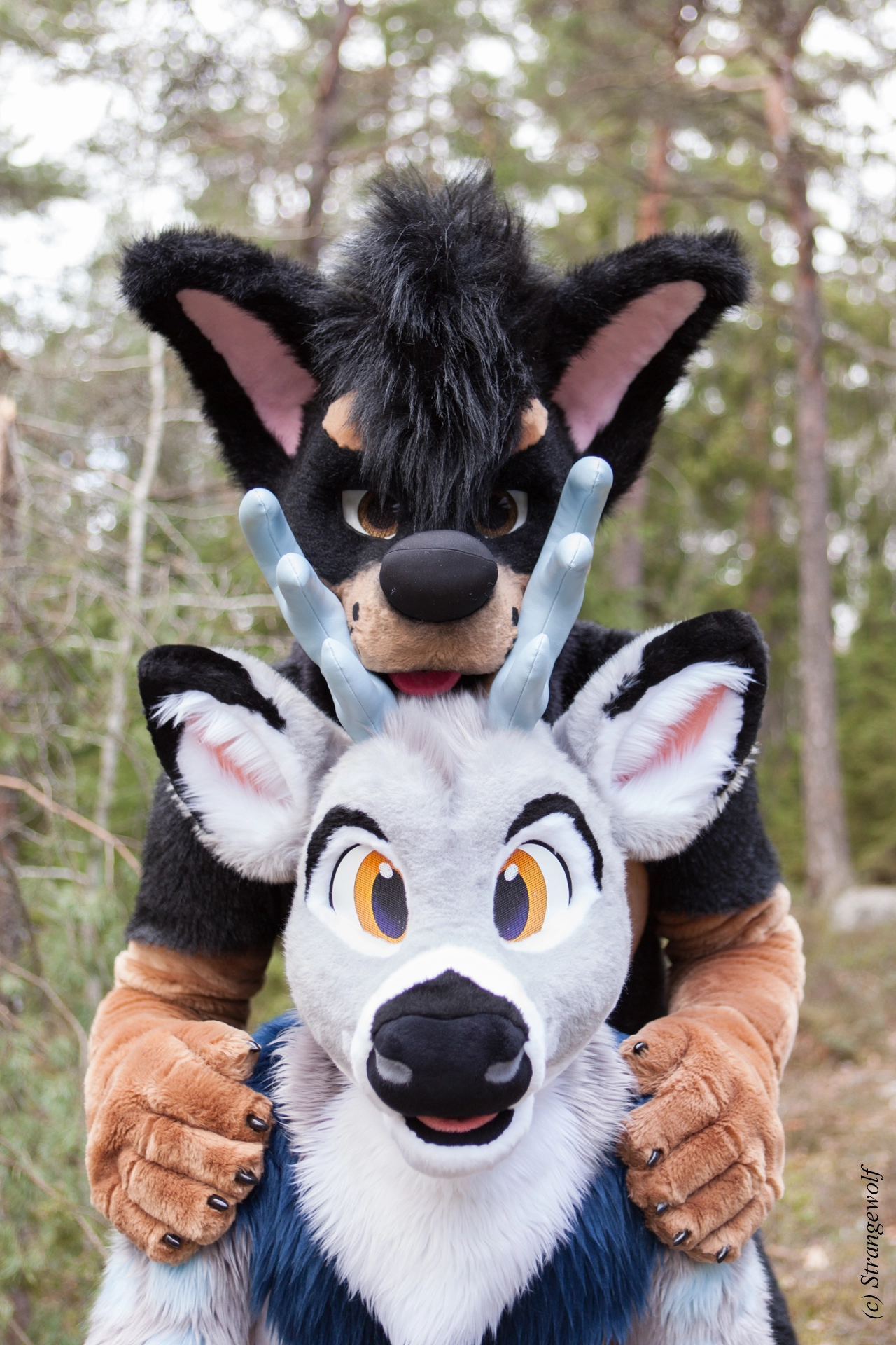 full image IMG_8683-lr19t.jpg