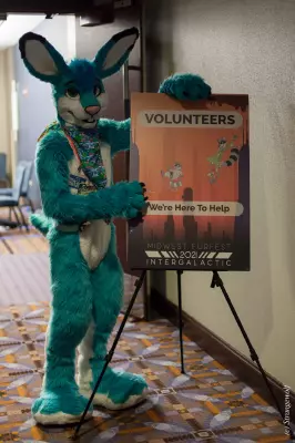 IMG_1872-lr19t.jpg of MFF/MFF2021/