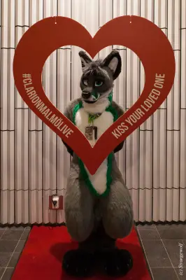 IMG_8363-lr19t.jpg of NFC/NFC2020/