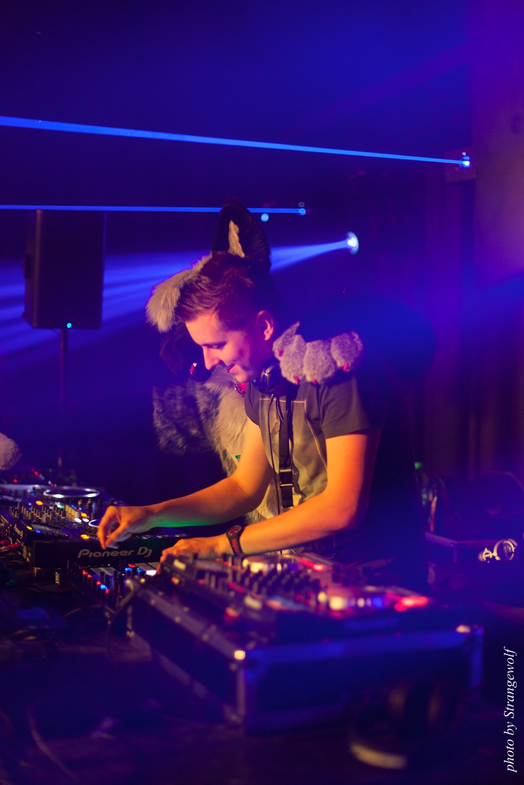 full image IMG_8748-lr16t.jpg