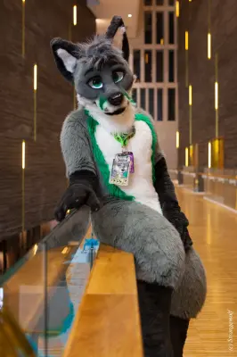 IMG_8294-lr19t.jpg of NFC/NFC2020/