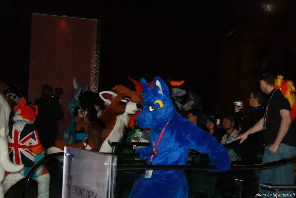IMG_1183-lr.jpg of MFF/MFF2013/