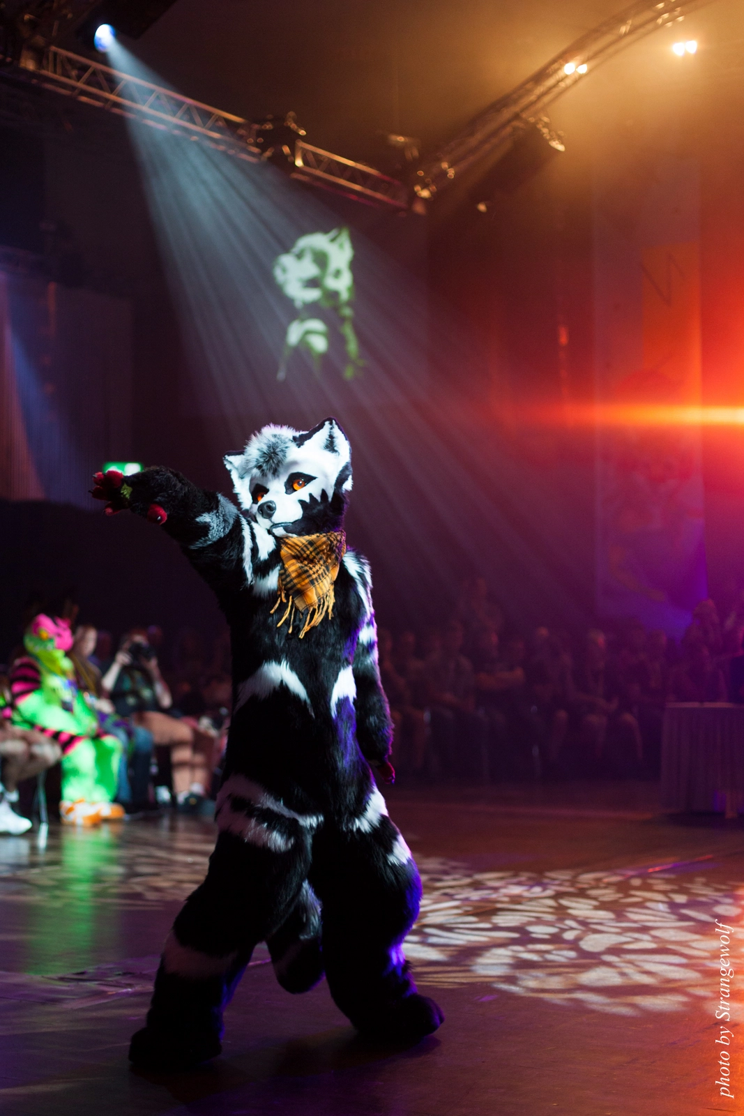 full image IMG_9802-lr16t.jpg