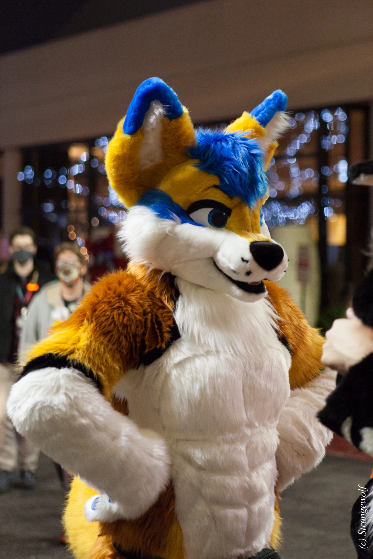 full image IMG_1576-lr19t.jpg