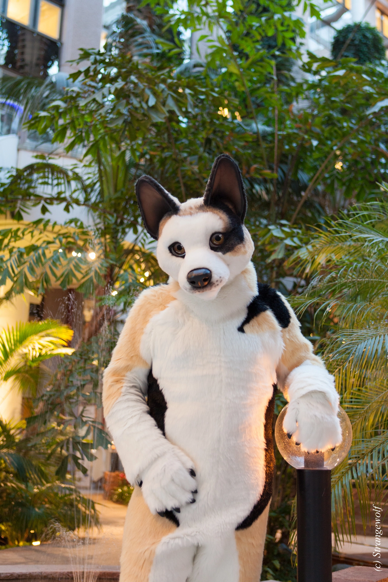 full image IMG_8907-lr19t.jpg