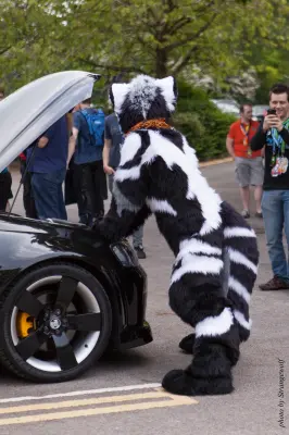 IMG_7204-lr16t.jpg of CFZ/CFZ2016/