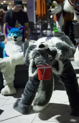 IMG_8570-lr16t.jpg of ESG/ESG2015/