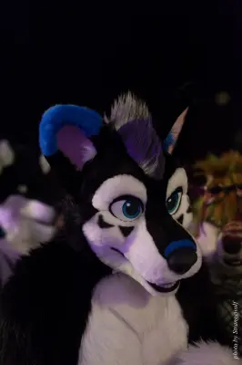 IMG_5451-lr16t.jpg of Laercon/