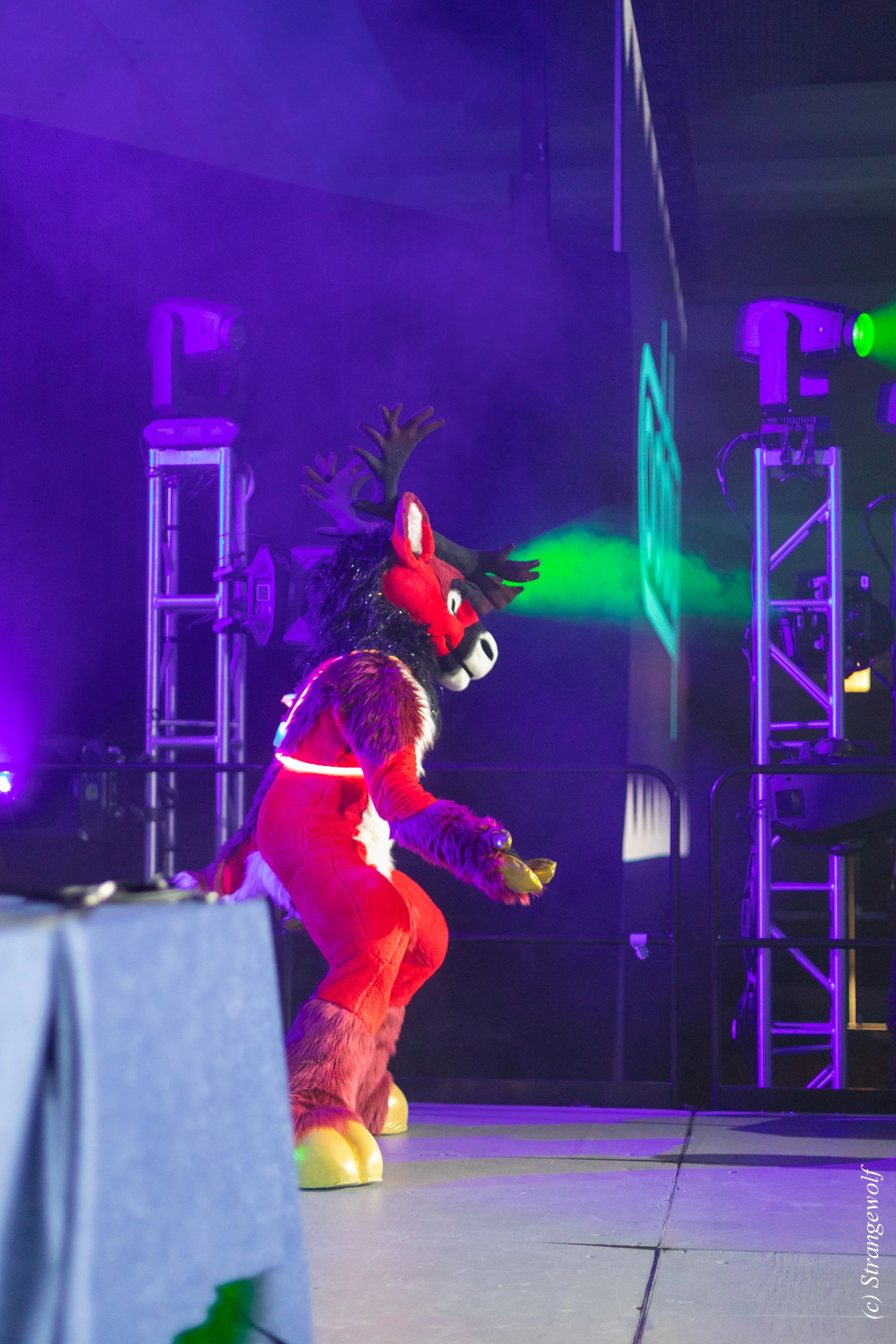 full image 1R3A0520-lr19t.jpg