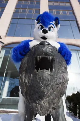 IMG_9765-lr19t.jpg of NFC/NFC2018/