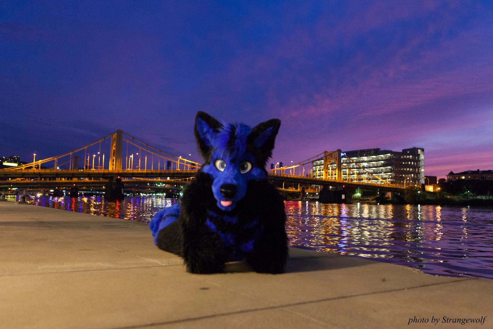 full image IMG_8419-lr16t.jpg