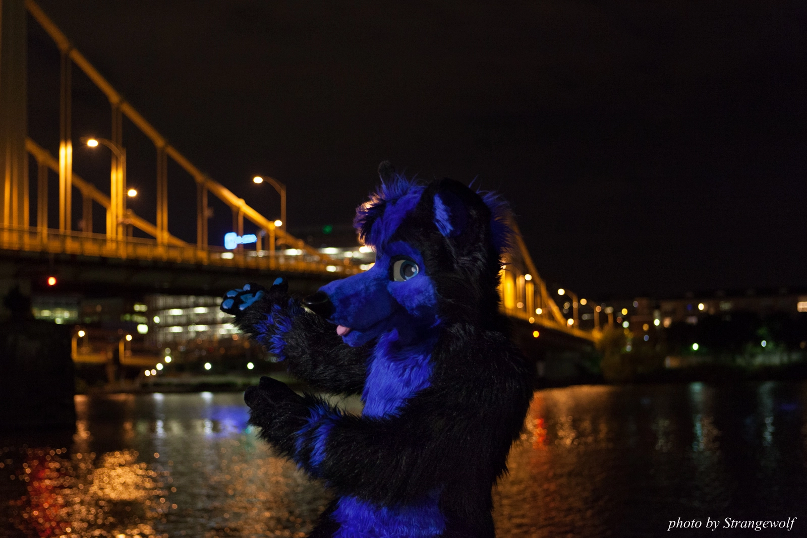 full image IMG_8533-lr16t-2.jpg