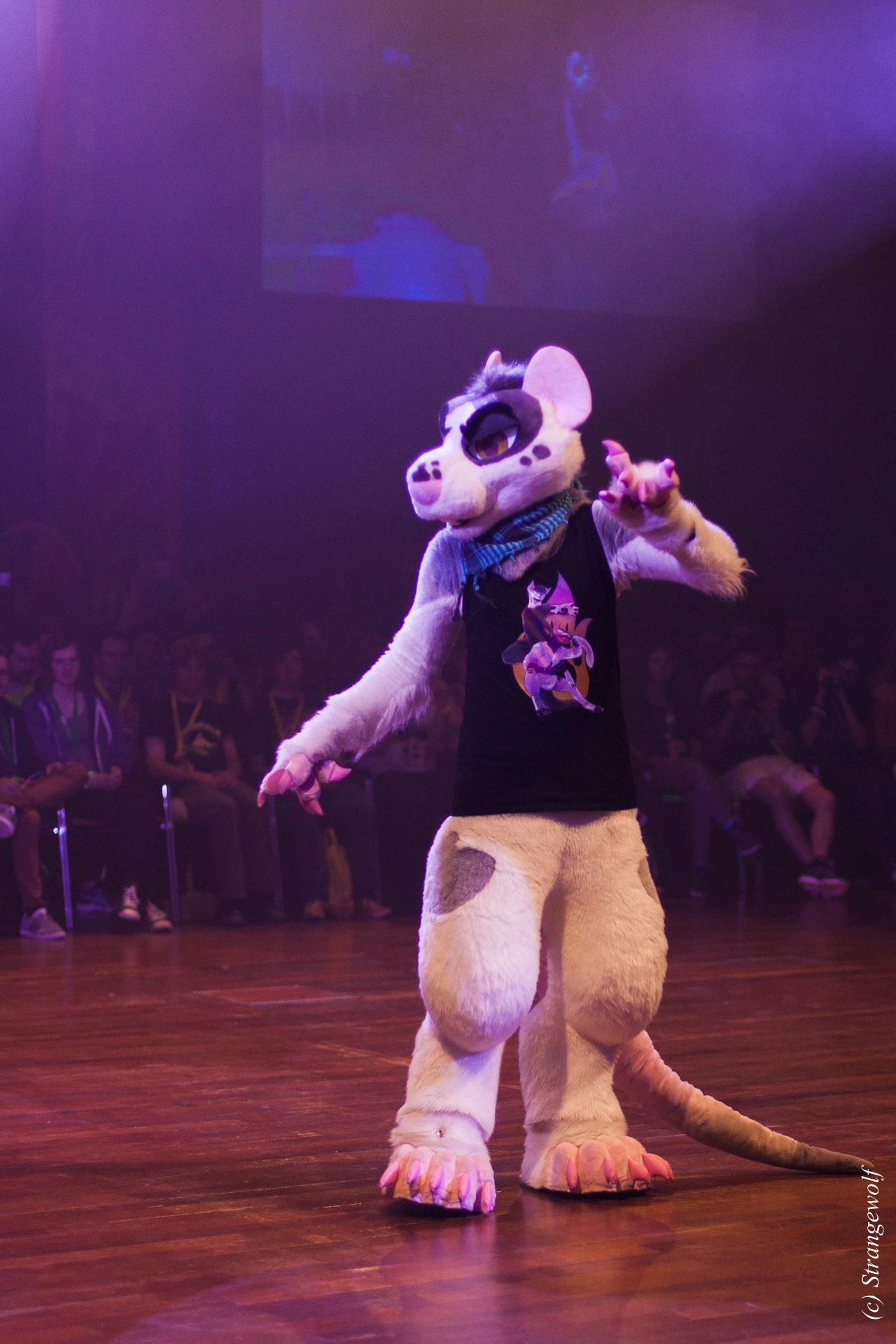 full image IMG_6365-lr19t.jpg