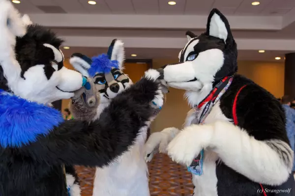 IMG_8396-lr19t.jpg of MFF/MFF2017/
