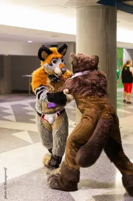 IMG_1191-lr16t.jpg of FC/FC2017/