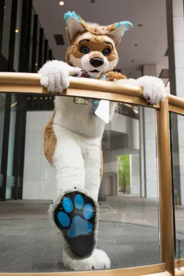 IMG_1740-lr19t.jpg of FWA/FWA2018/