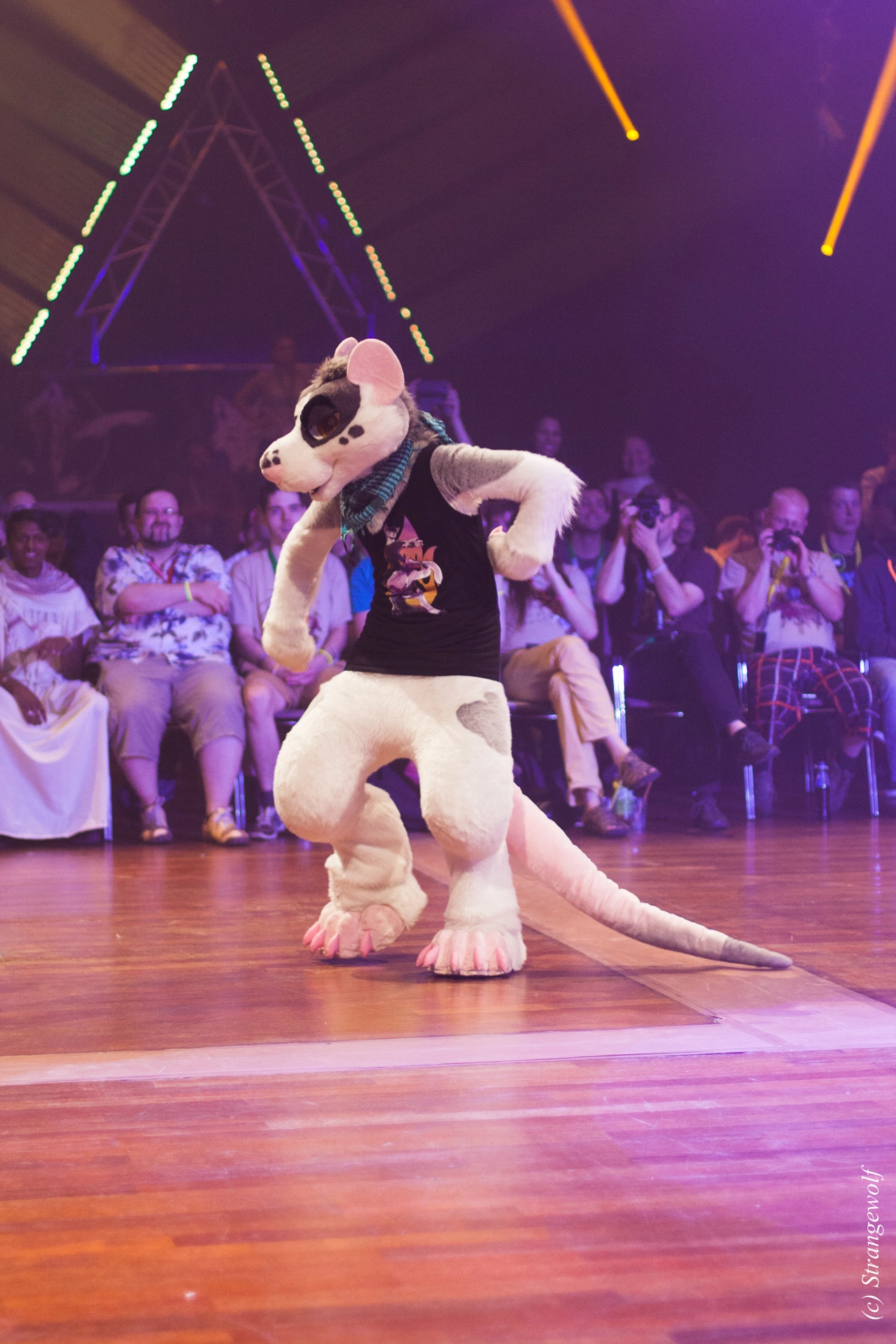 full image IMG_6352-lr19t.jpg