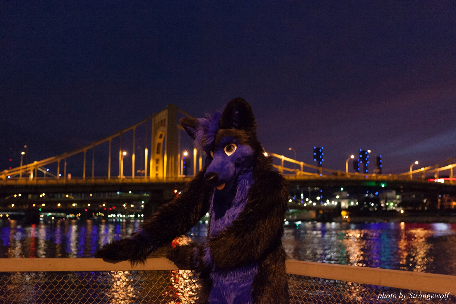 full image IMG_8448-lr16t.jpg