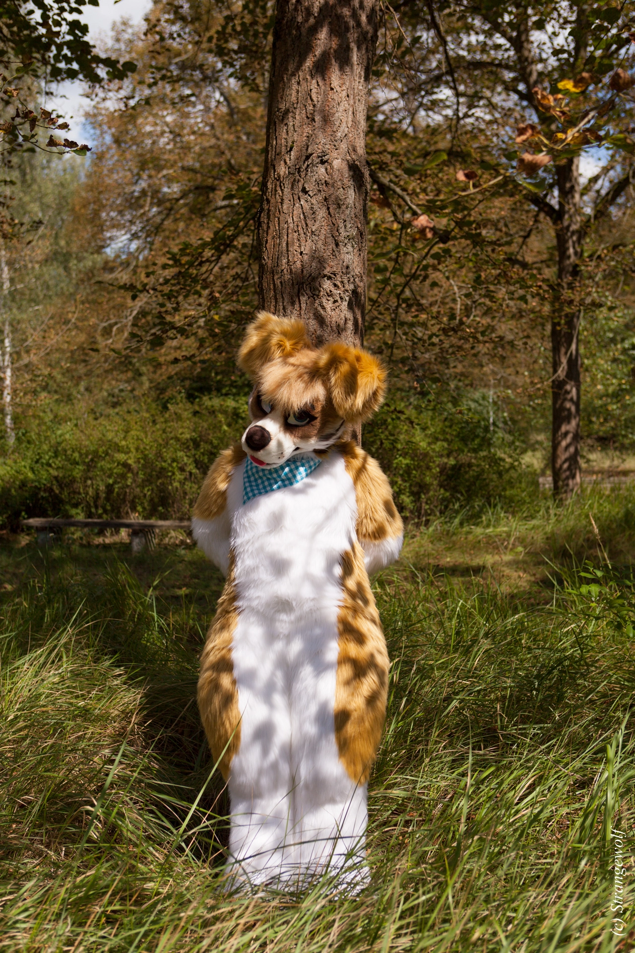 full image IMG_6188-lr19t.jpg