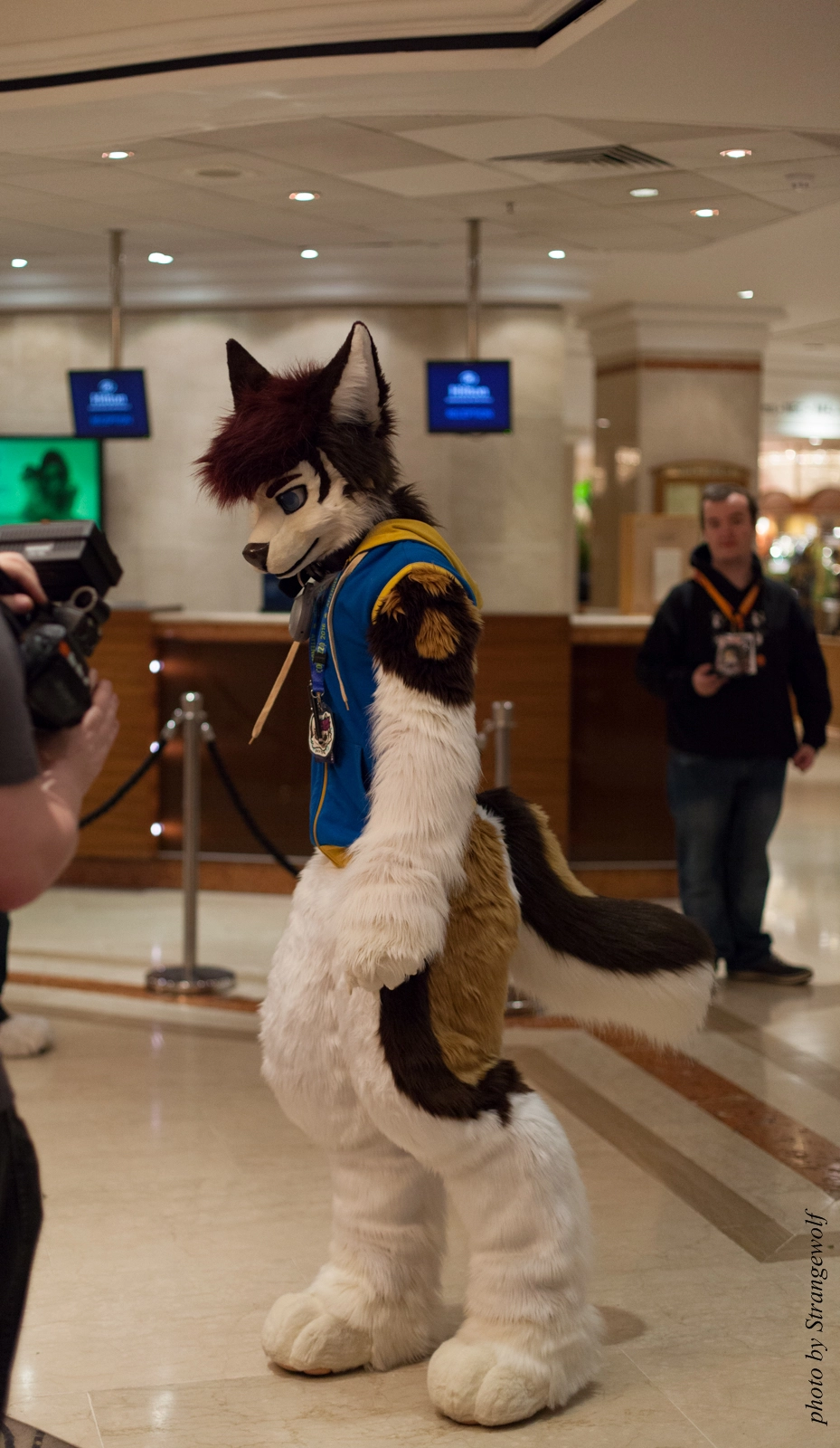 full image IMG_7593-lr16t.jpg