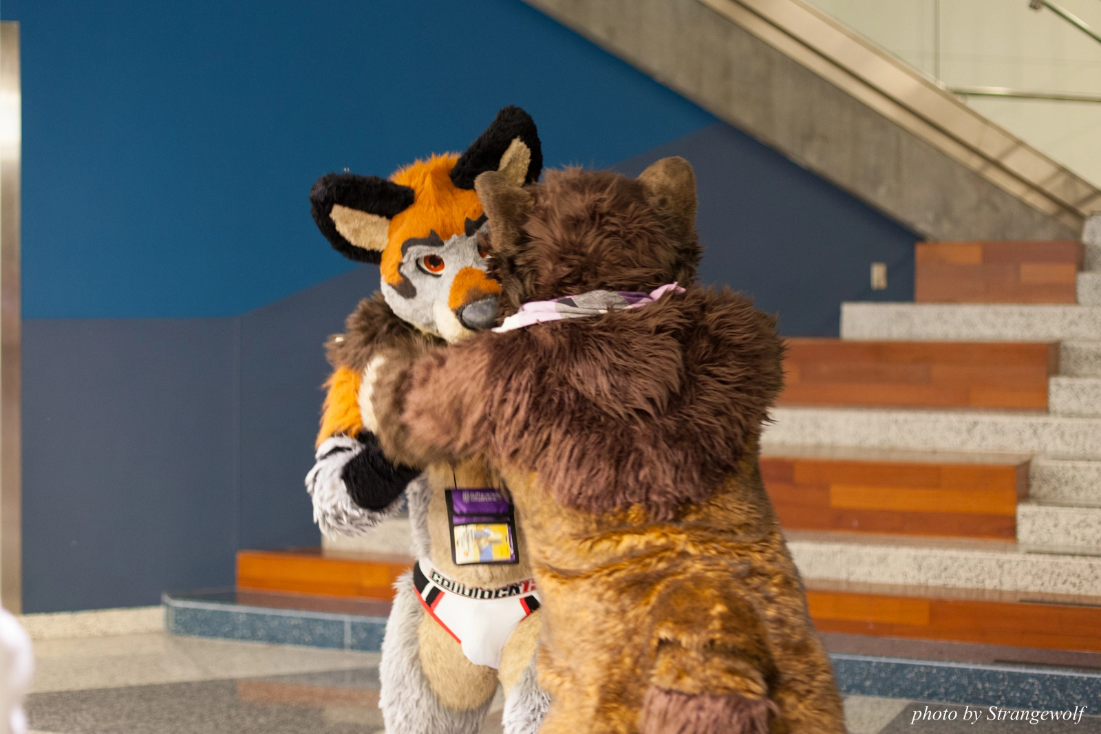 full image IMG_1185-lr16t.jpg