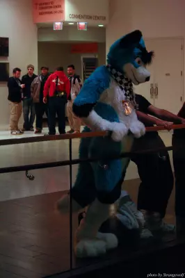 IMG_1187-lr.jpg of MFF/MFF2013/