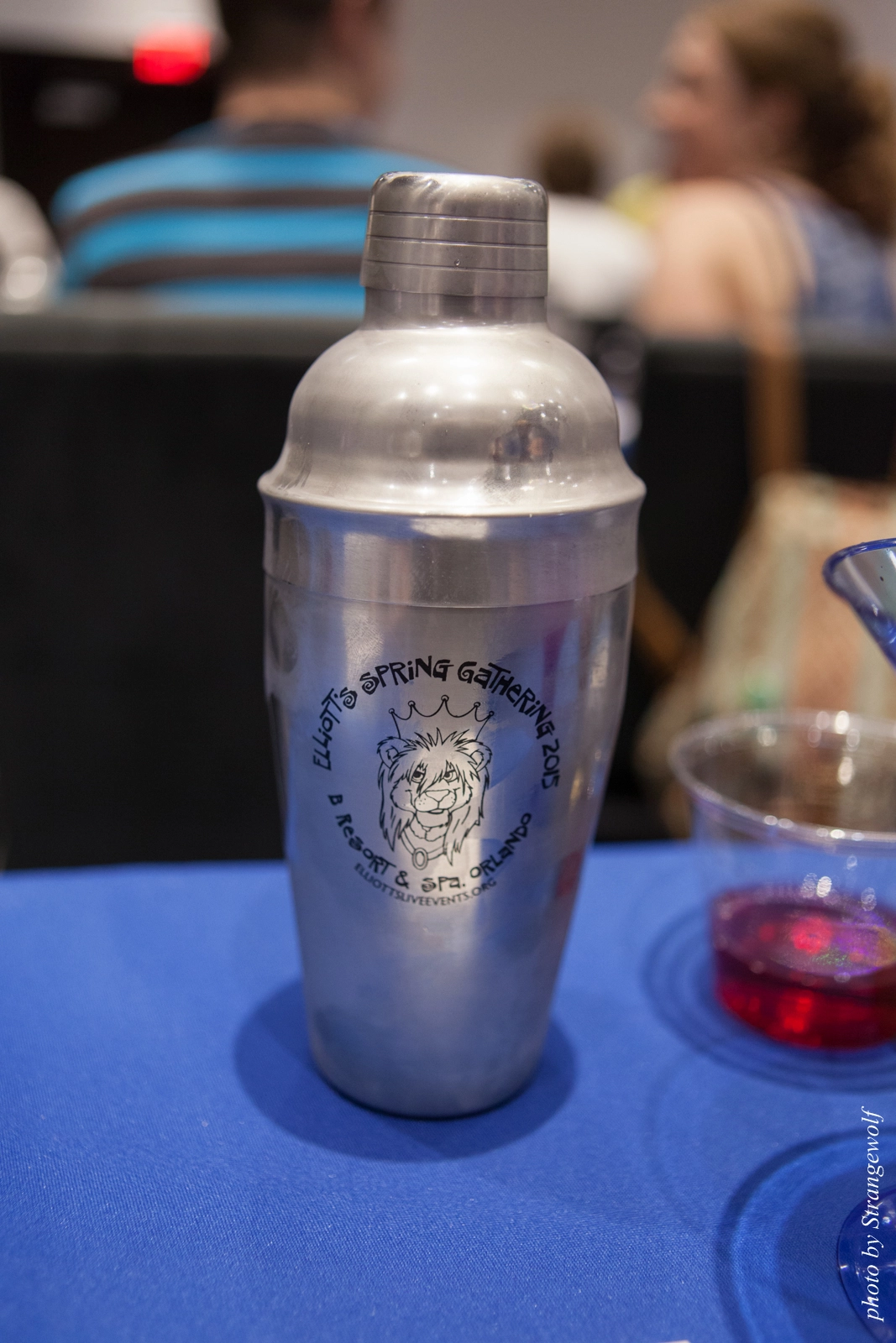 full image IMG_8118-lr16t.jpg