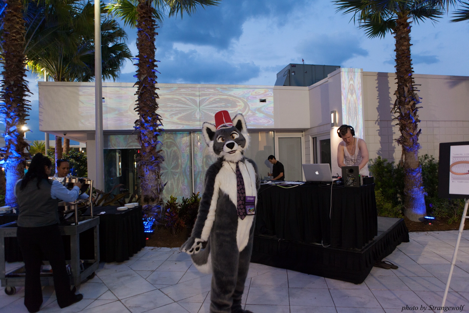 full image IMG_8417-lr16t.jpg