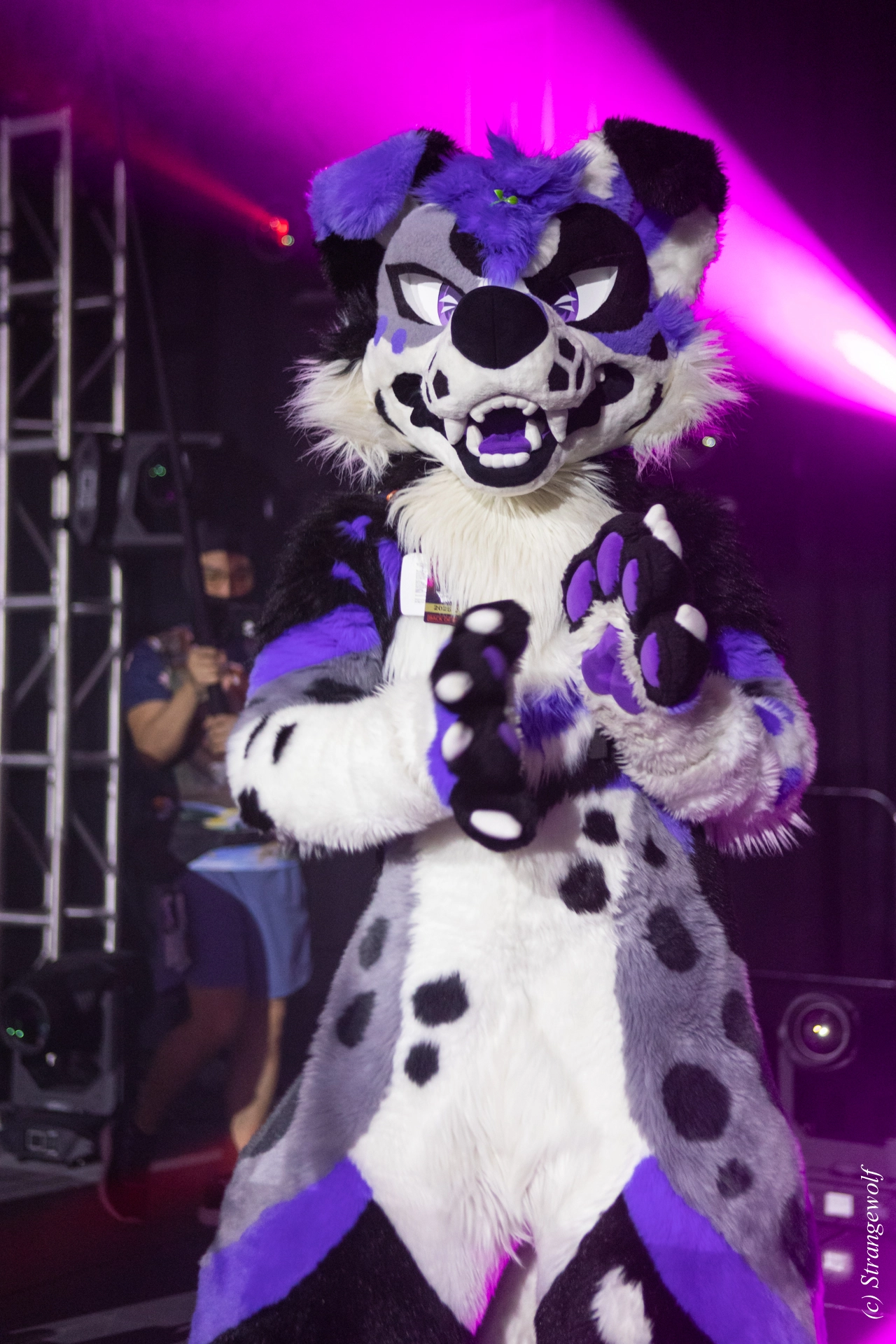 full image 1R3A0859-lr19t.jpg