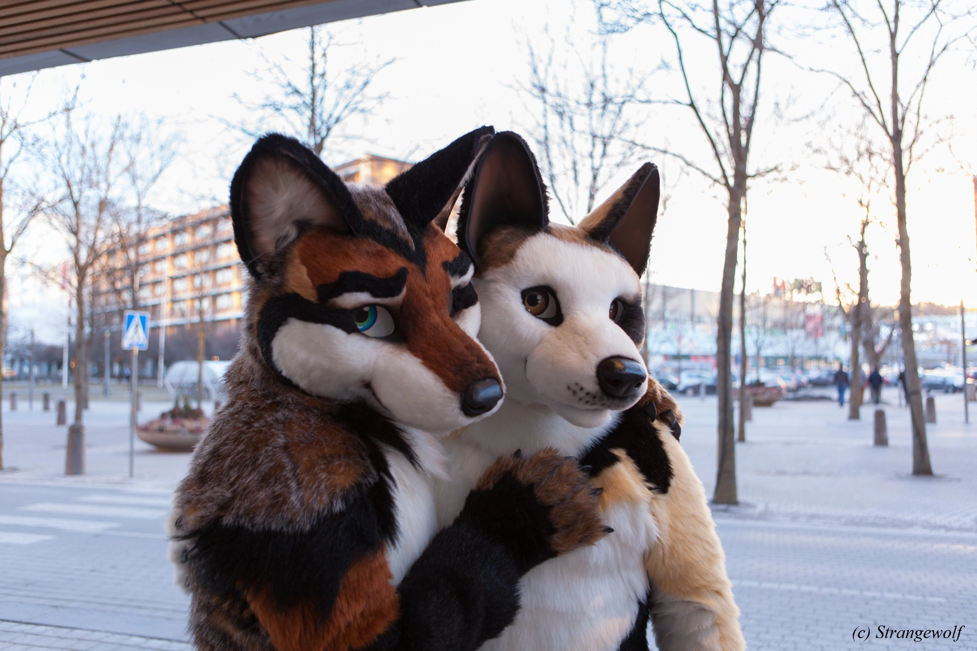 full image IMG_8889-lr19t.jpg