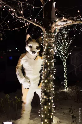 IMG_7181-lr19t.jpg of MFF/MFF2018/