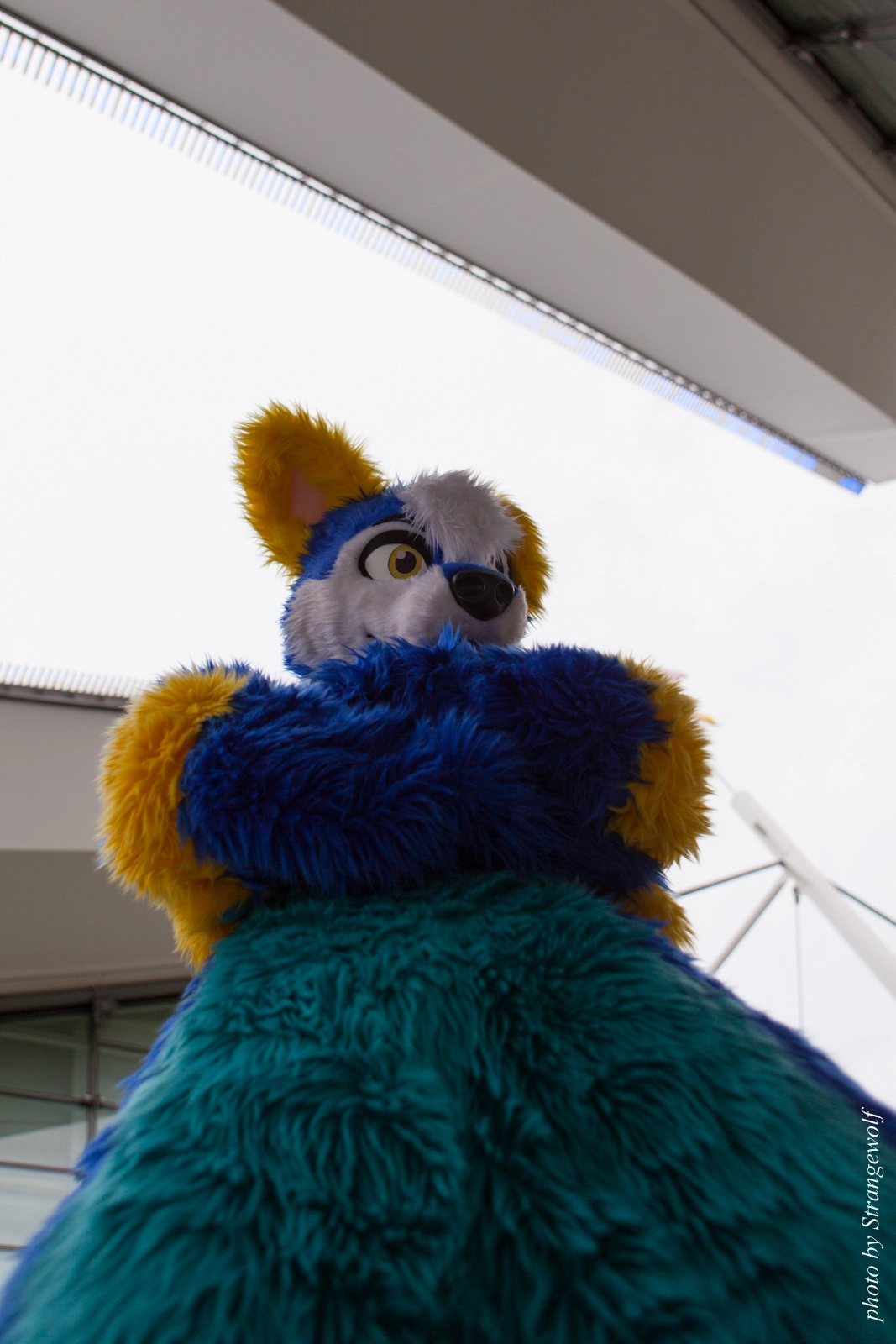 full image IMG_8224-lr16t.jpg