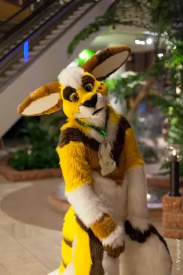 IMG_0921-lr19t.jpg of NFC/NFC2018/