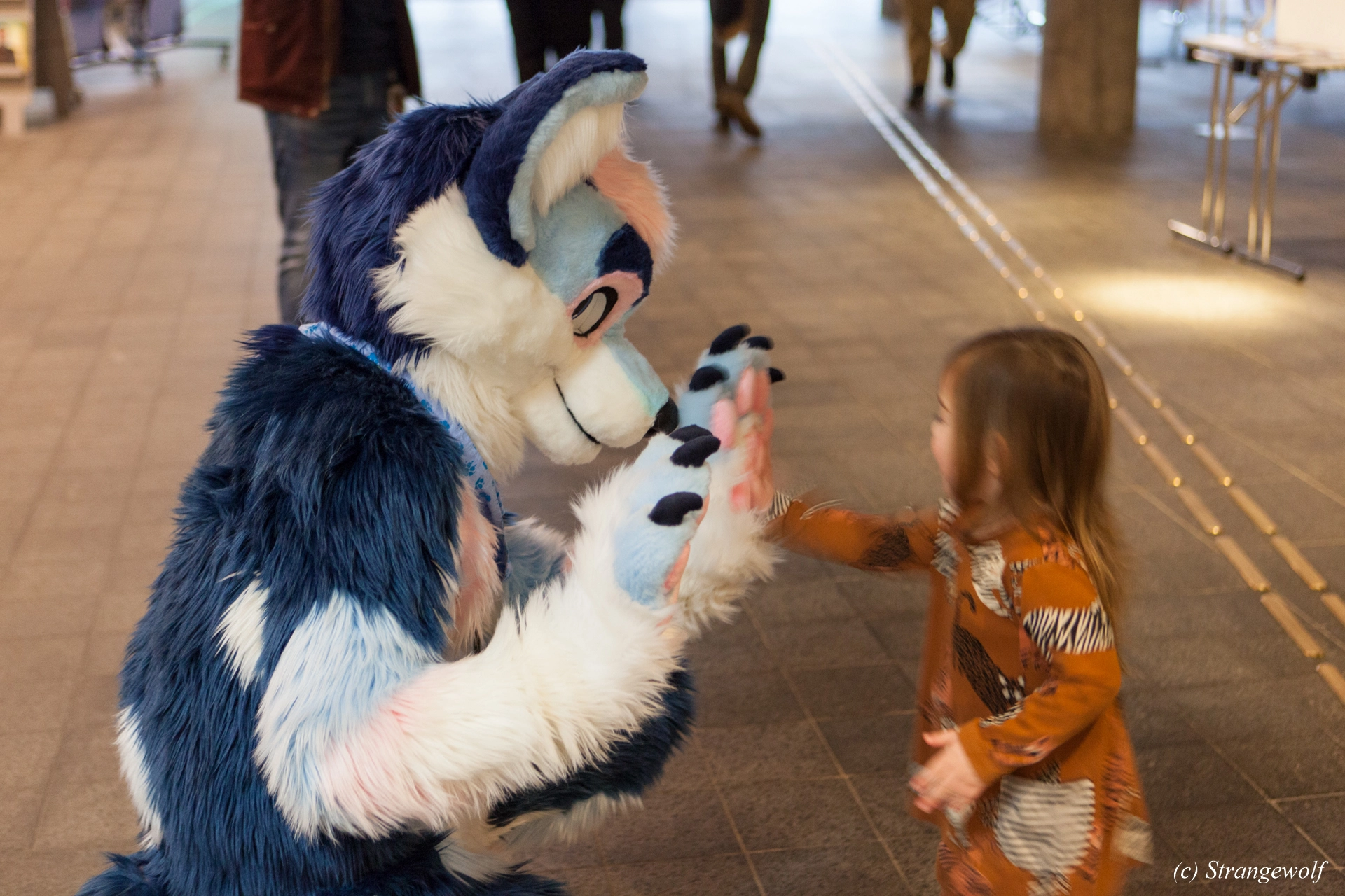 full image IMG_8521-lr19t.jpg