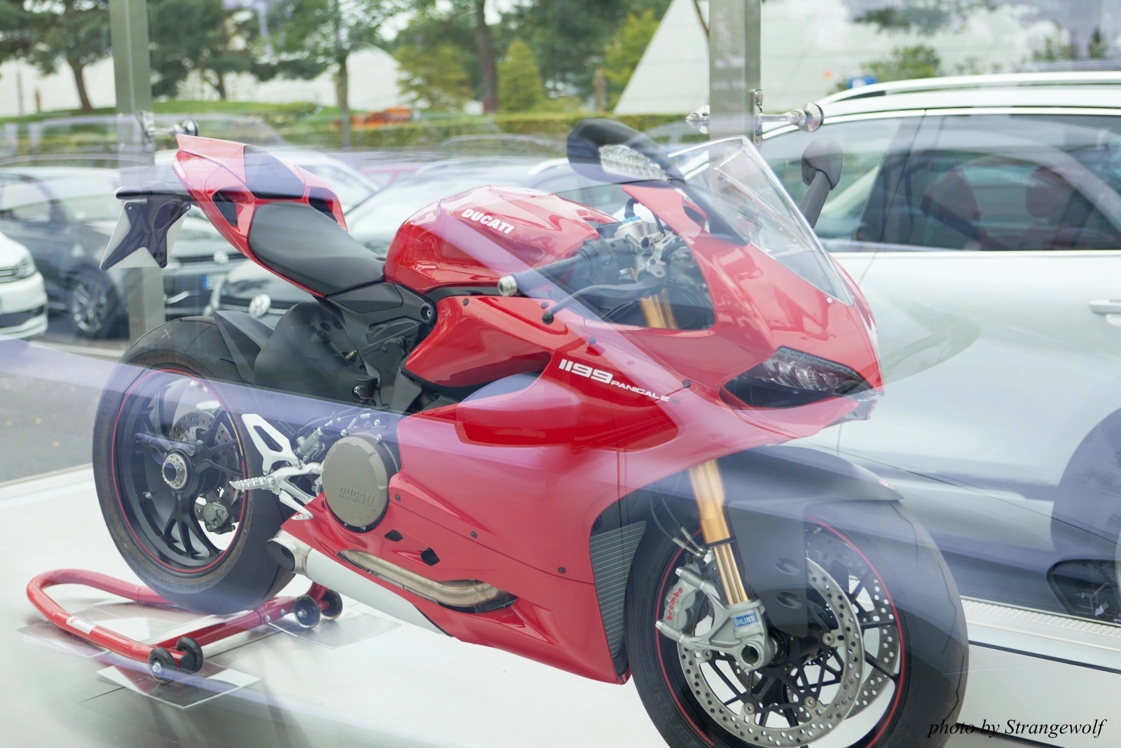 full image IMG_0448-lr16t.jpg