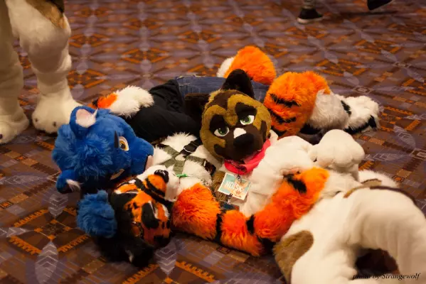 IMG_0822-lr16t.jpg of MFF/MFF2016/
