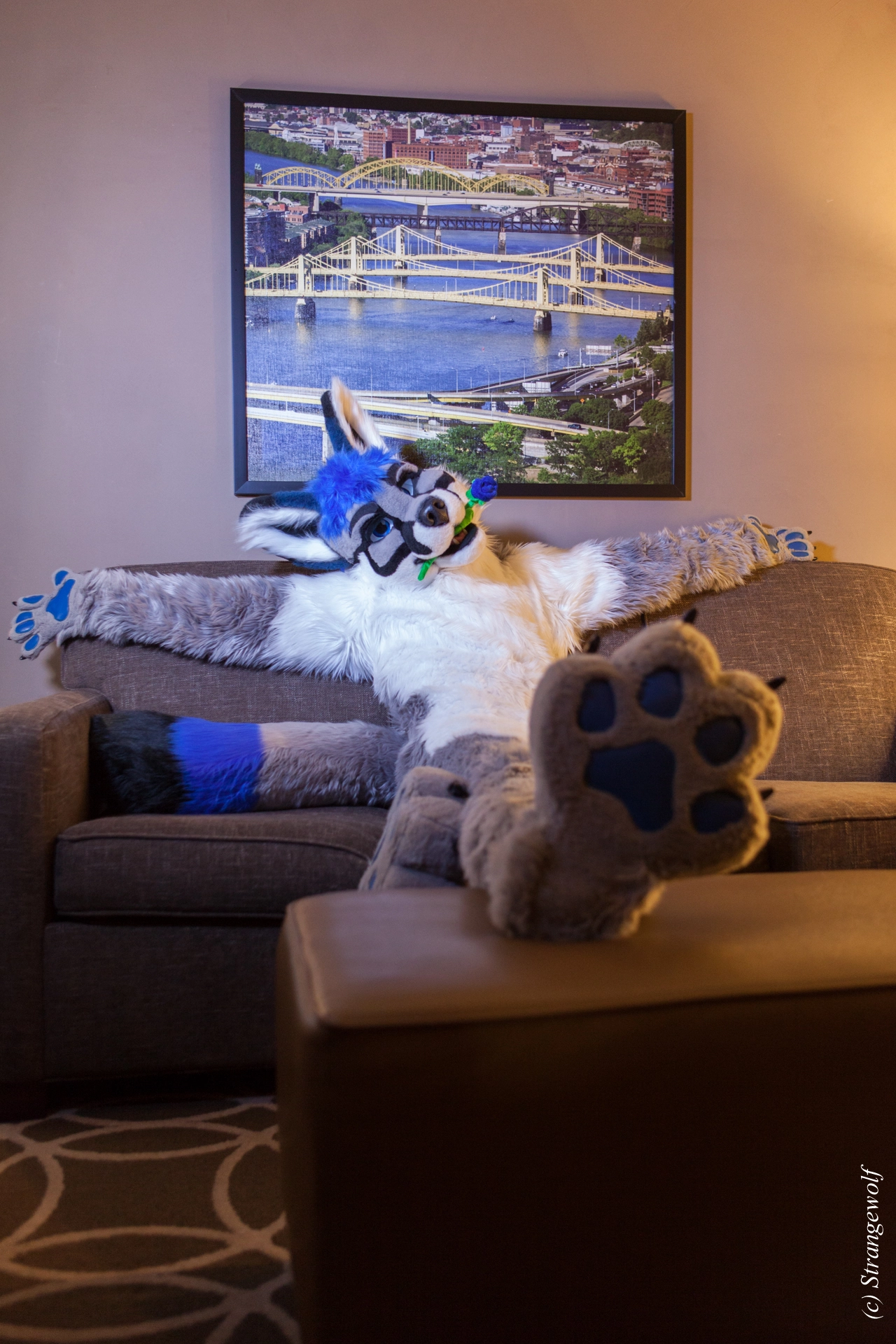 full image IMG_3677-lr19t.jpg